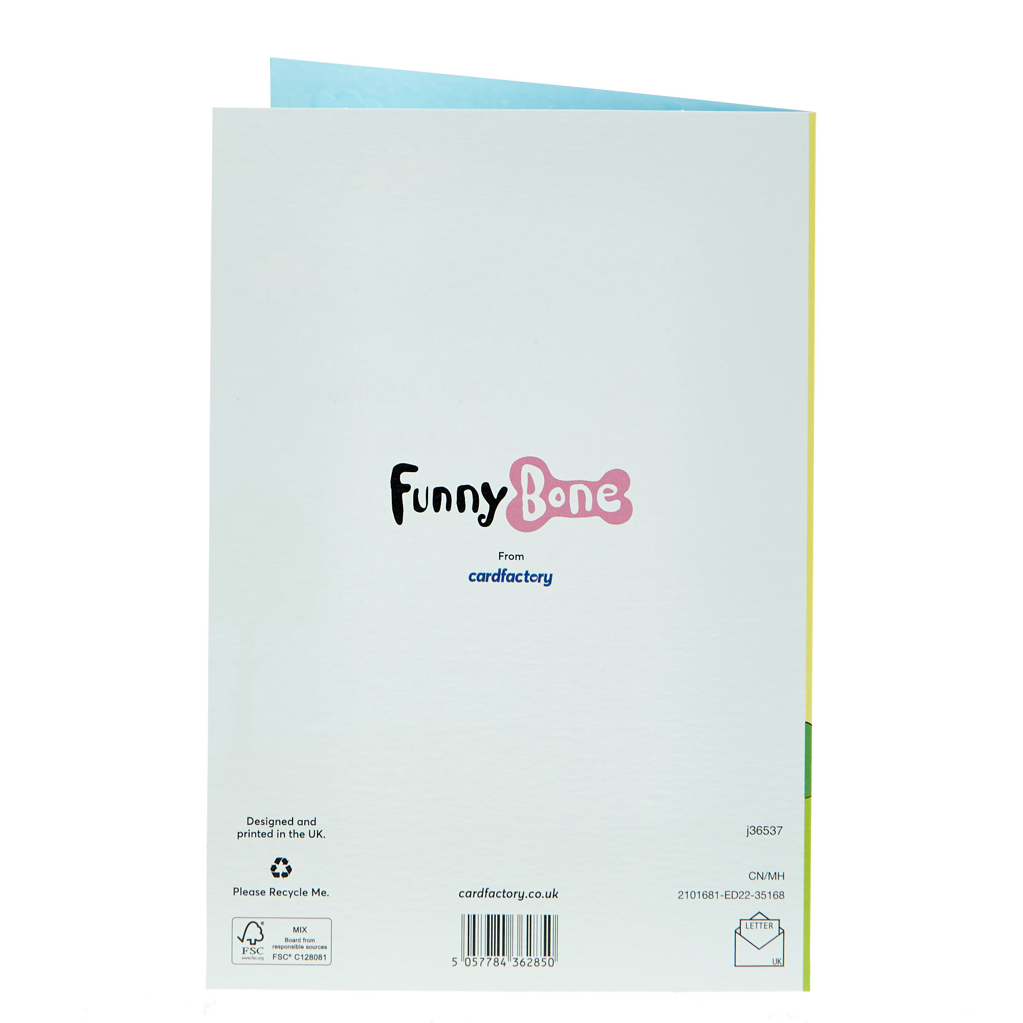 Birthday Card - Friend If You Ever Fall