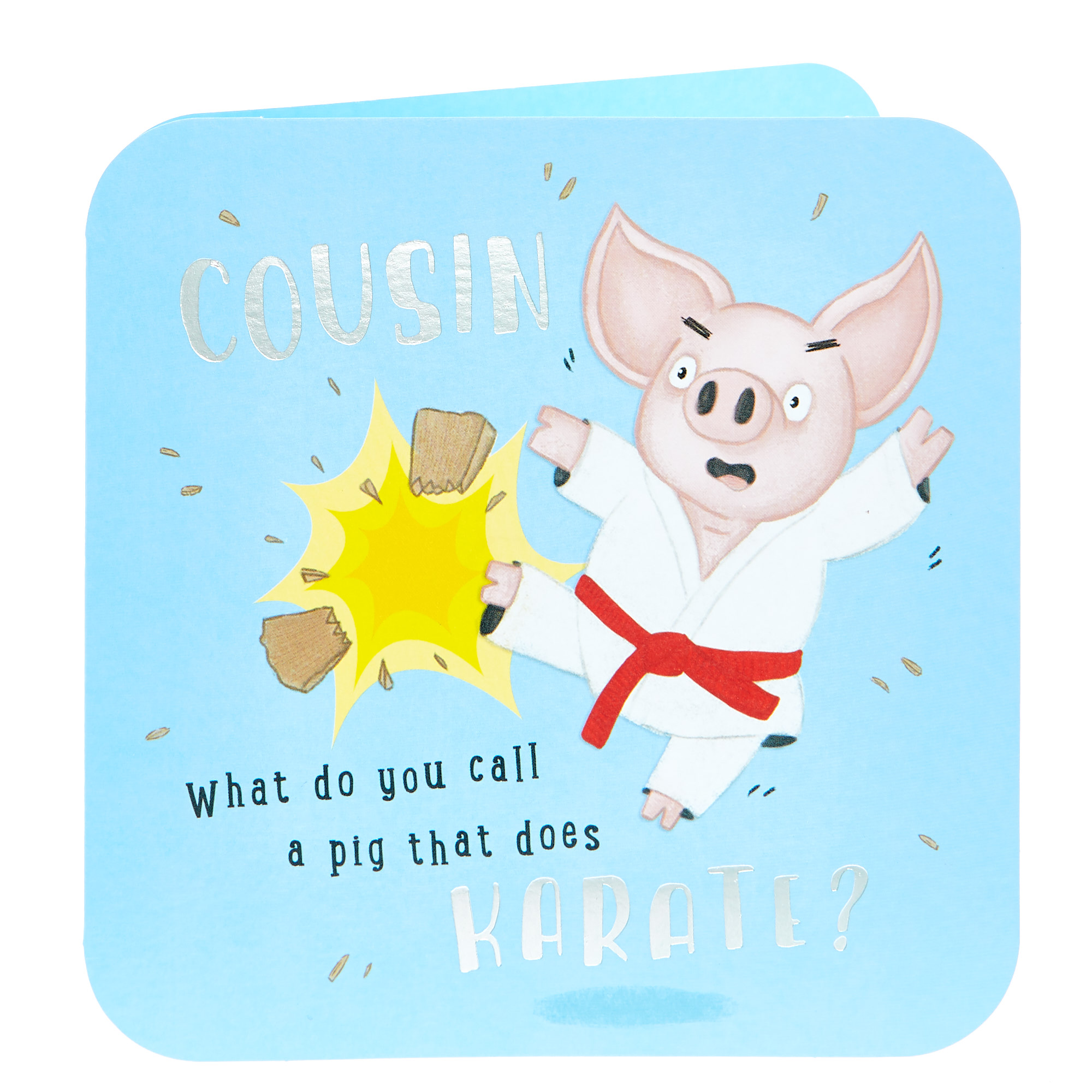 Birthday Card - Cousin, Karate Pig
