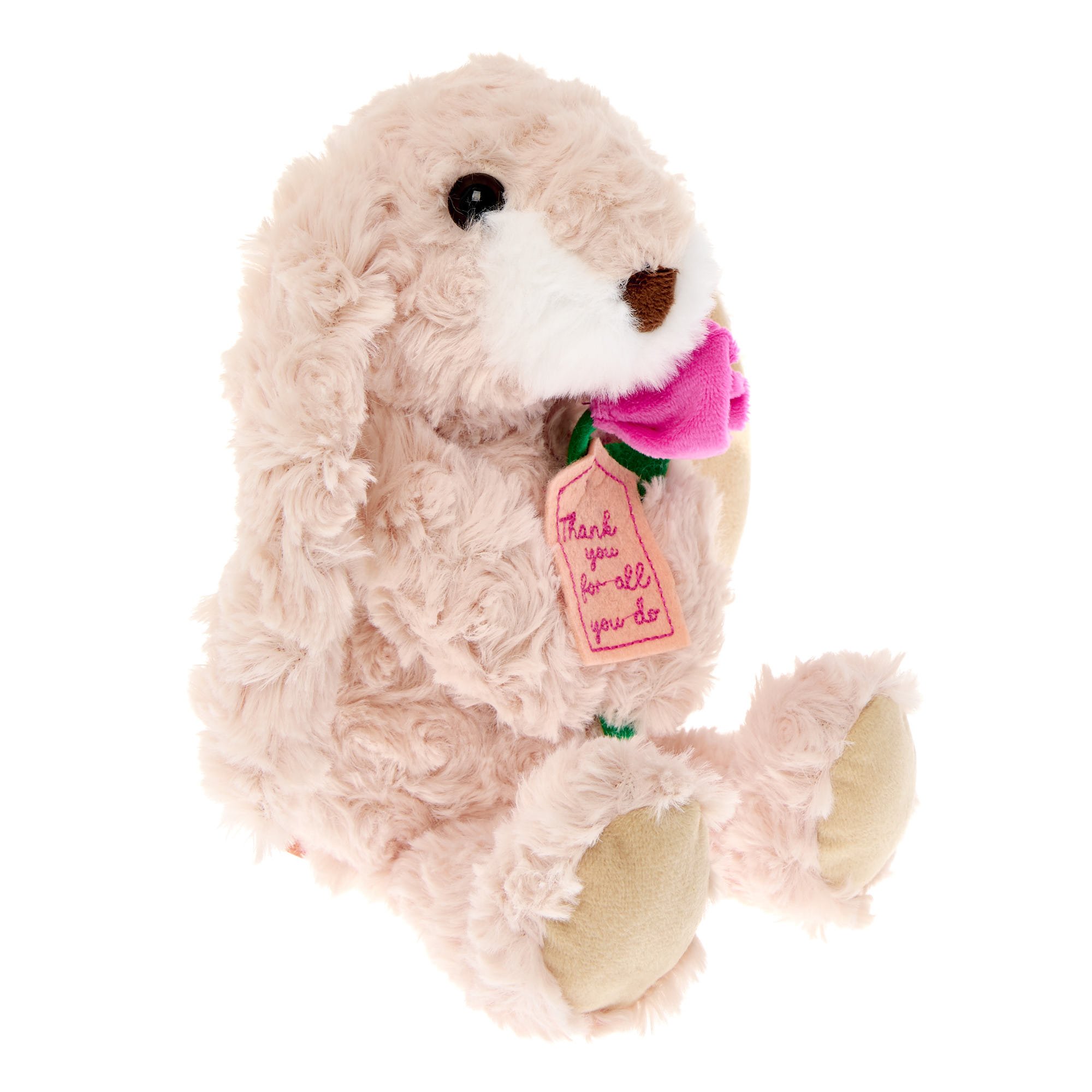 Thank You Bunny Soft Toy