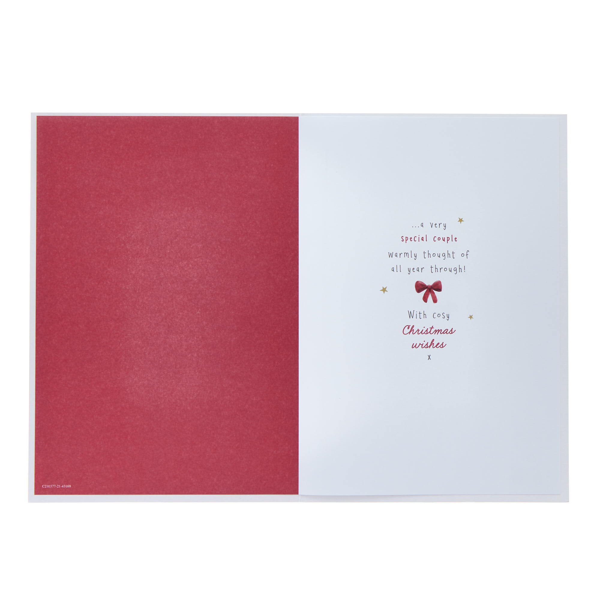 Dad & Partner Panda Couple Christmas Card