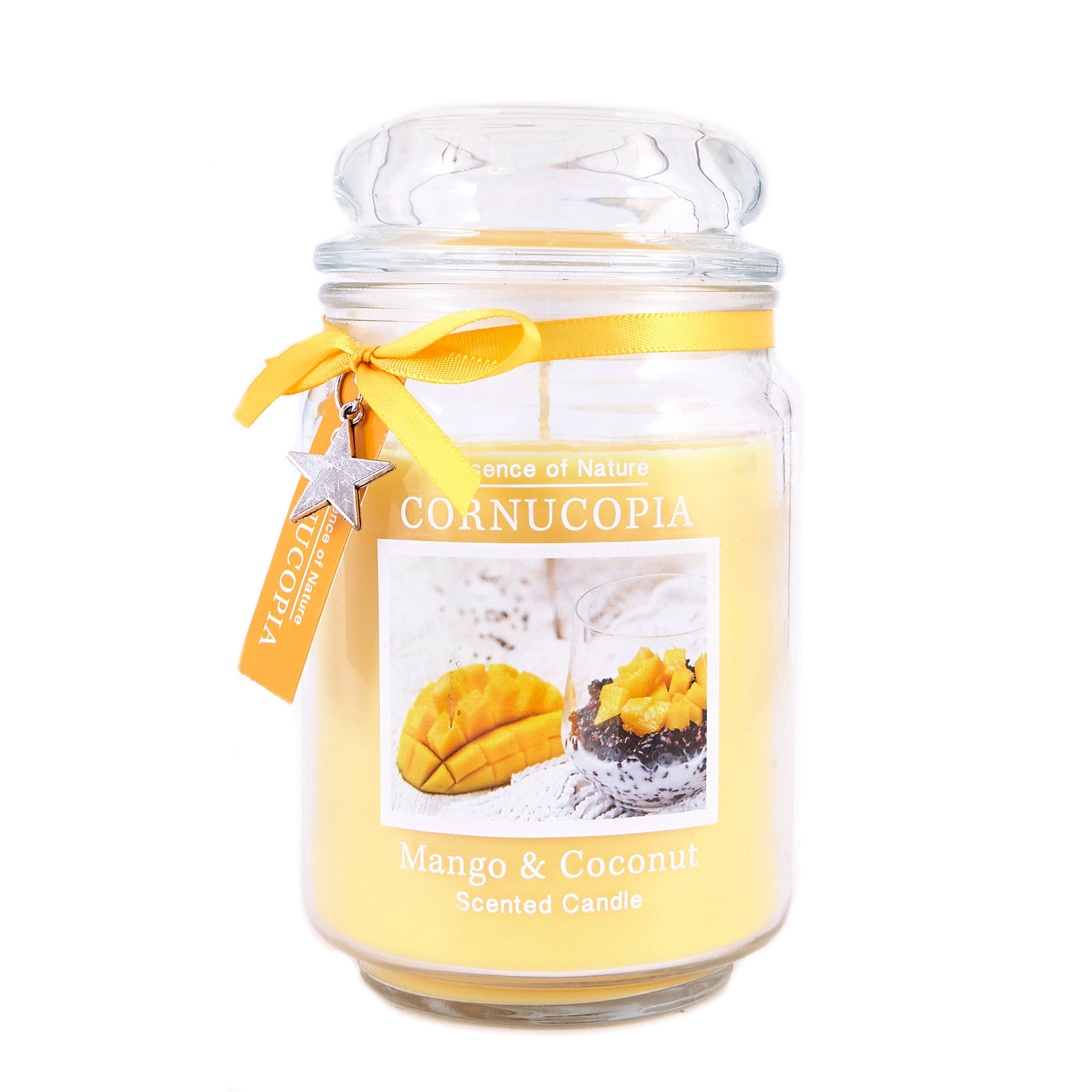 Cornucopia Mango & Coconut Scented Candle