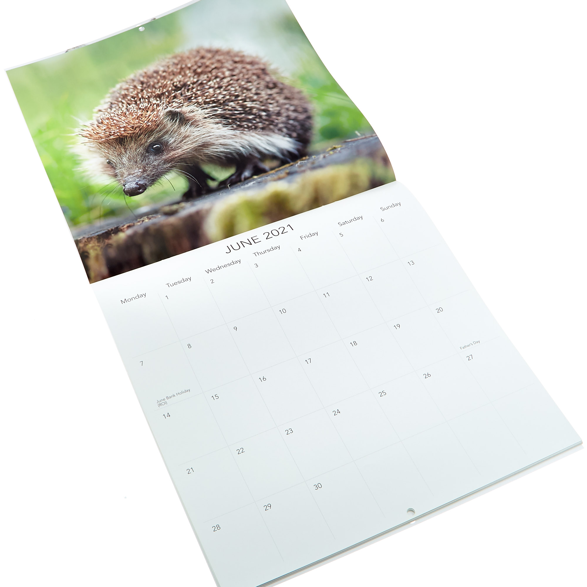 Wildlife 2021 Calendar 