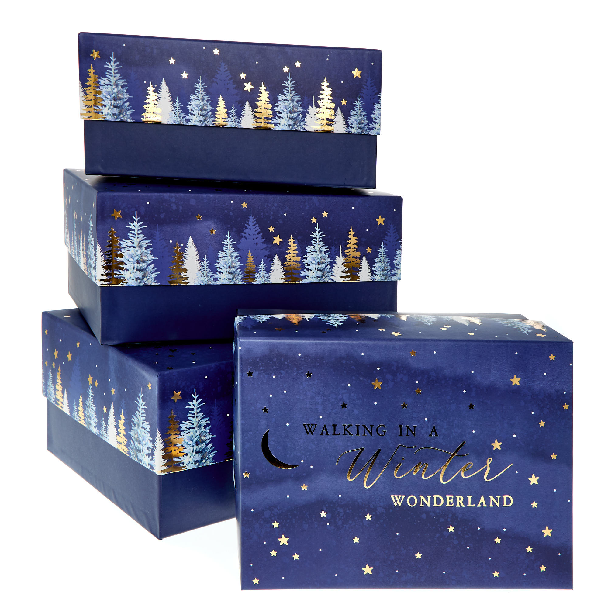 Walking in a Winter Wonderland Gift Boxes - Set of 4