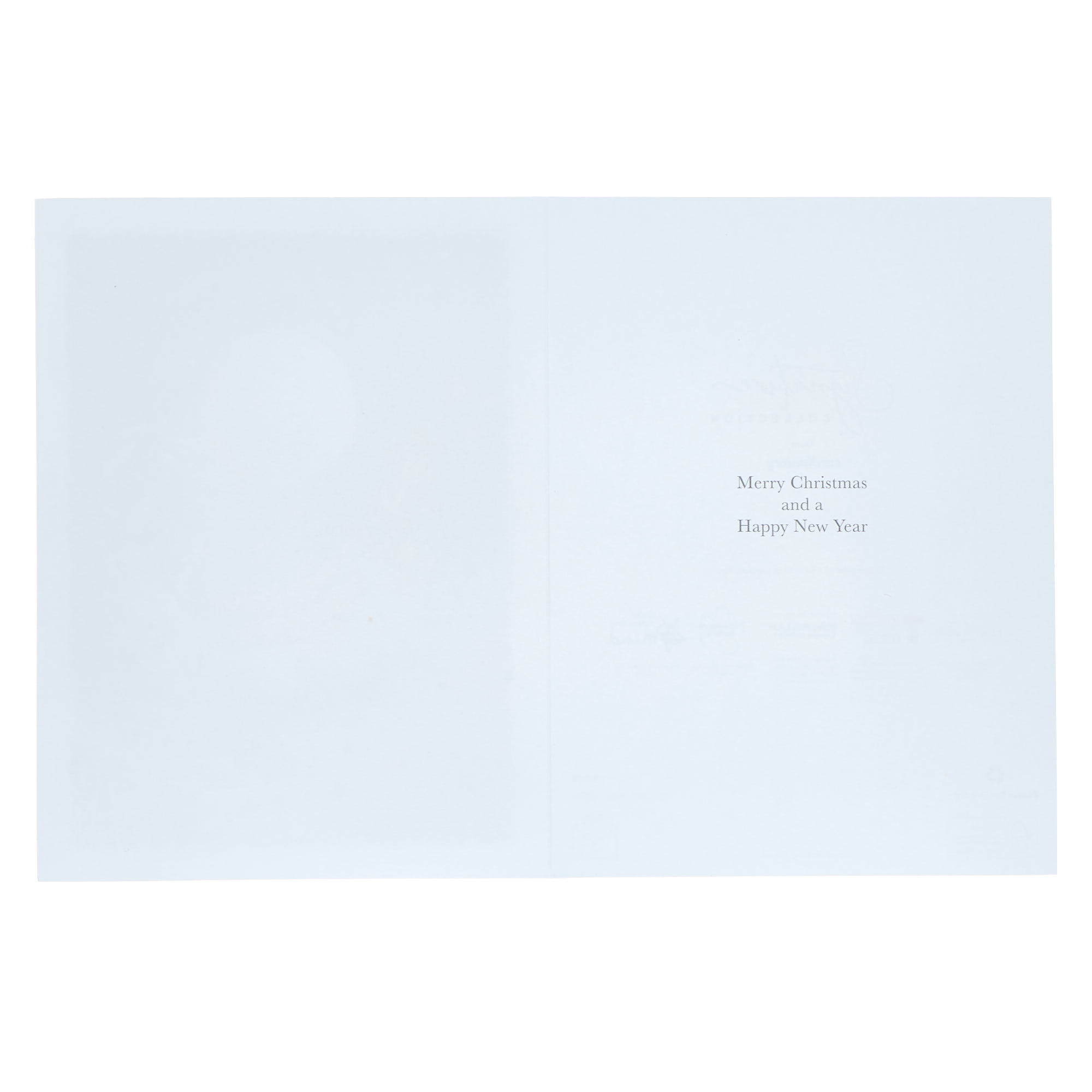 10 Deluxe Boxed Charity Christmas Cards - Traditional Santa (2 Designs) 