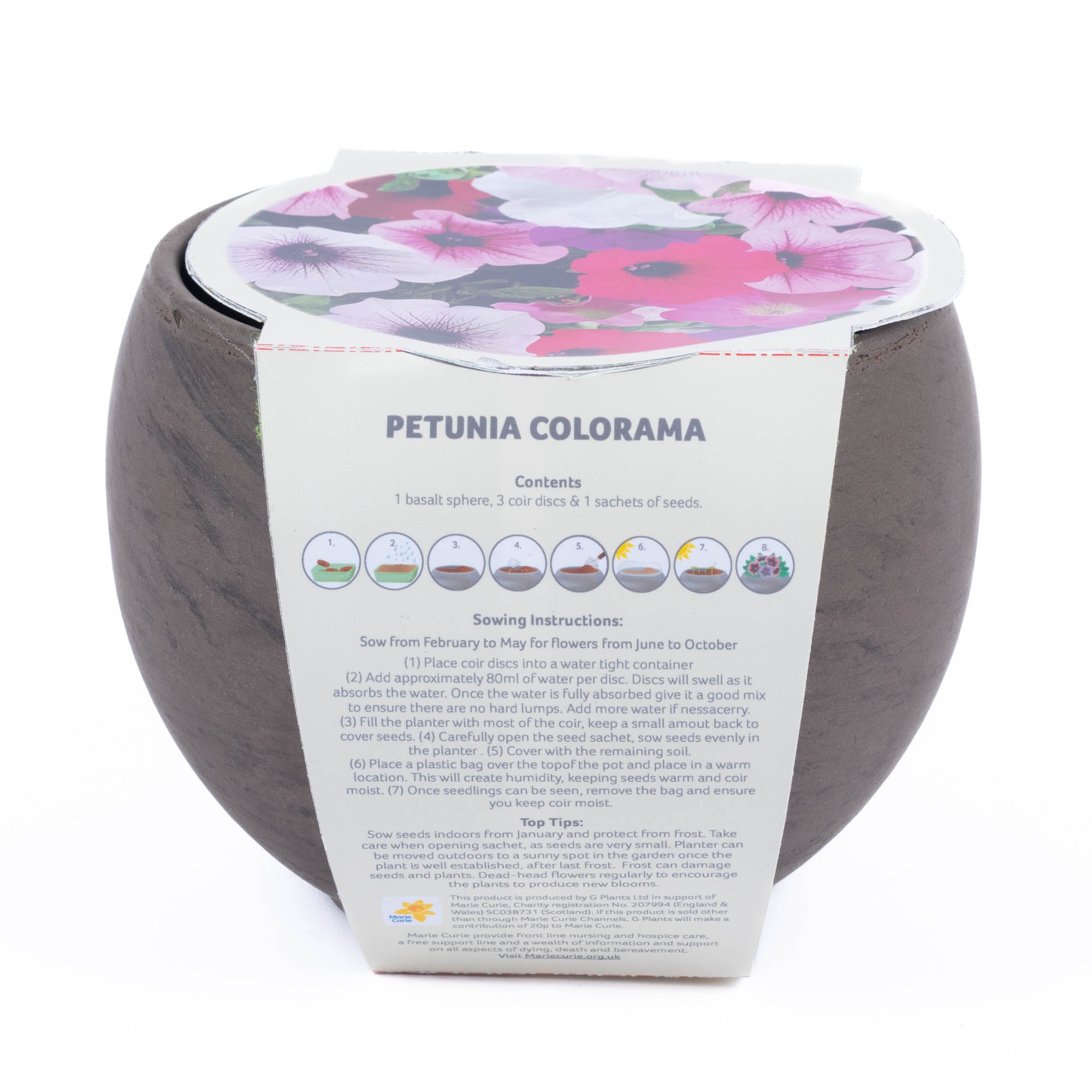 Marie Curie Petunia Grow Bowl
