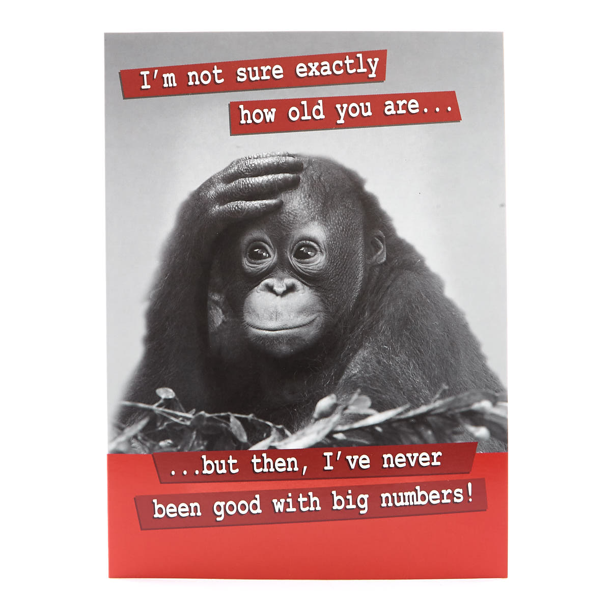 Humour Birthday Card- Chimp Big Numbers