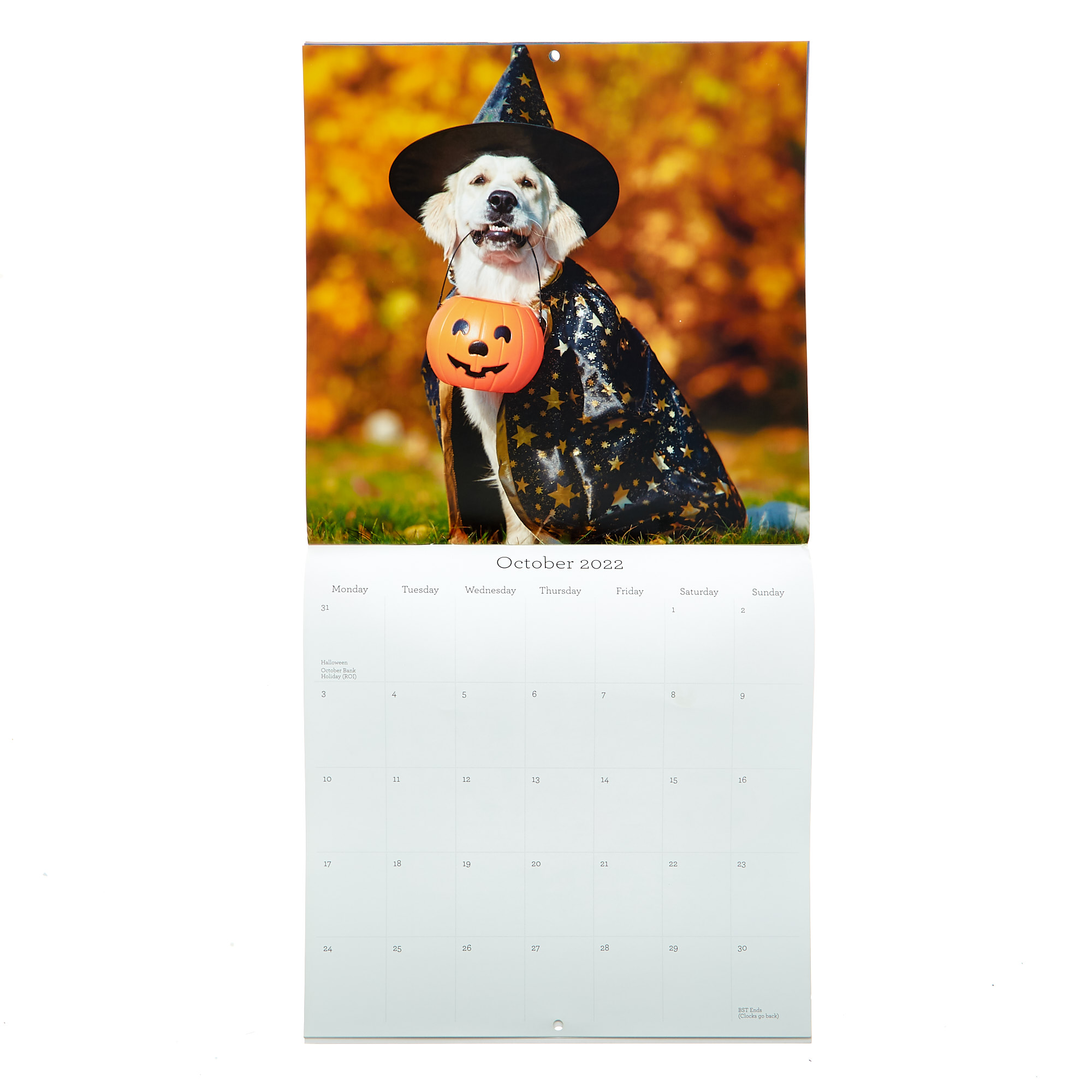 Square 2022 Dog Calendar 