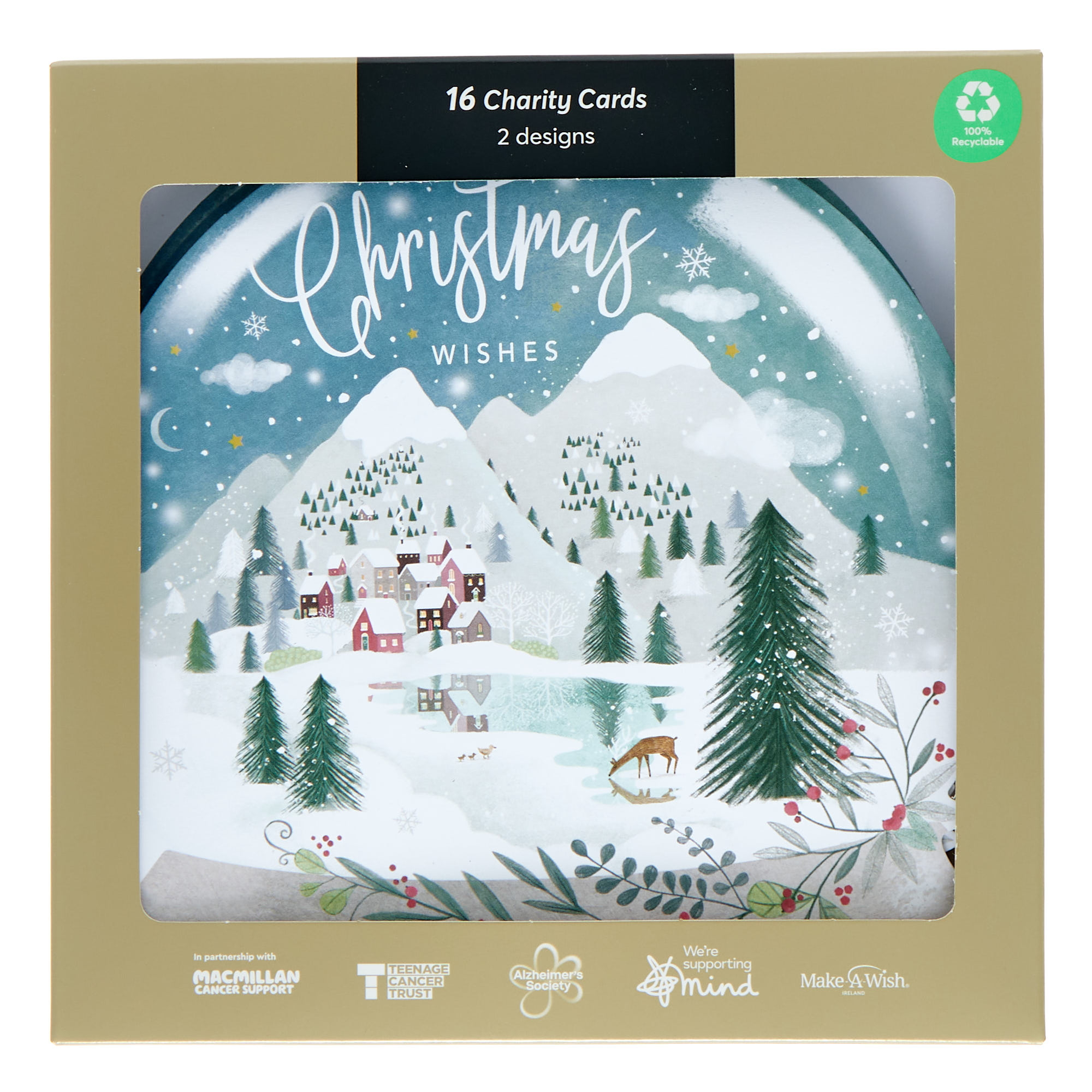 16 Charity Christmas Cards - Snow Globes (2 Designs)