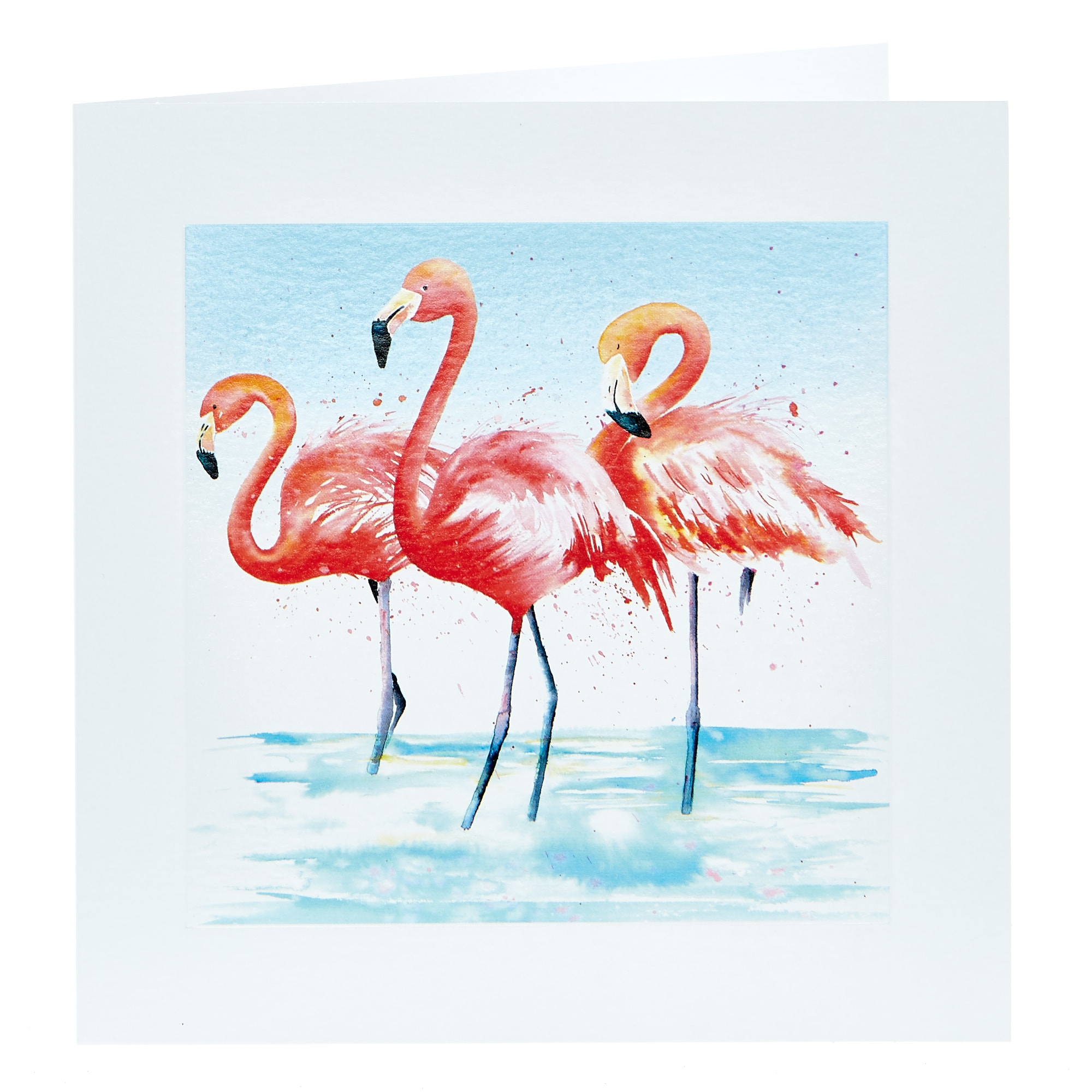 Any Occasion Card - Flamingo Painting