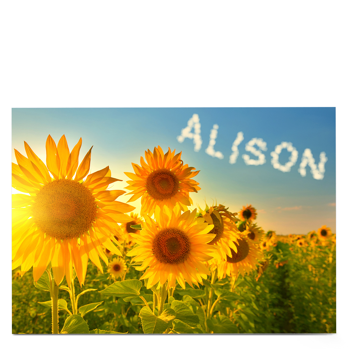 Personalised Card - Sunflower Field