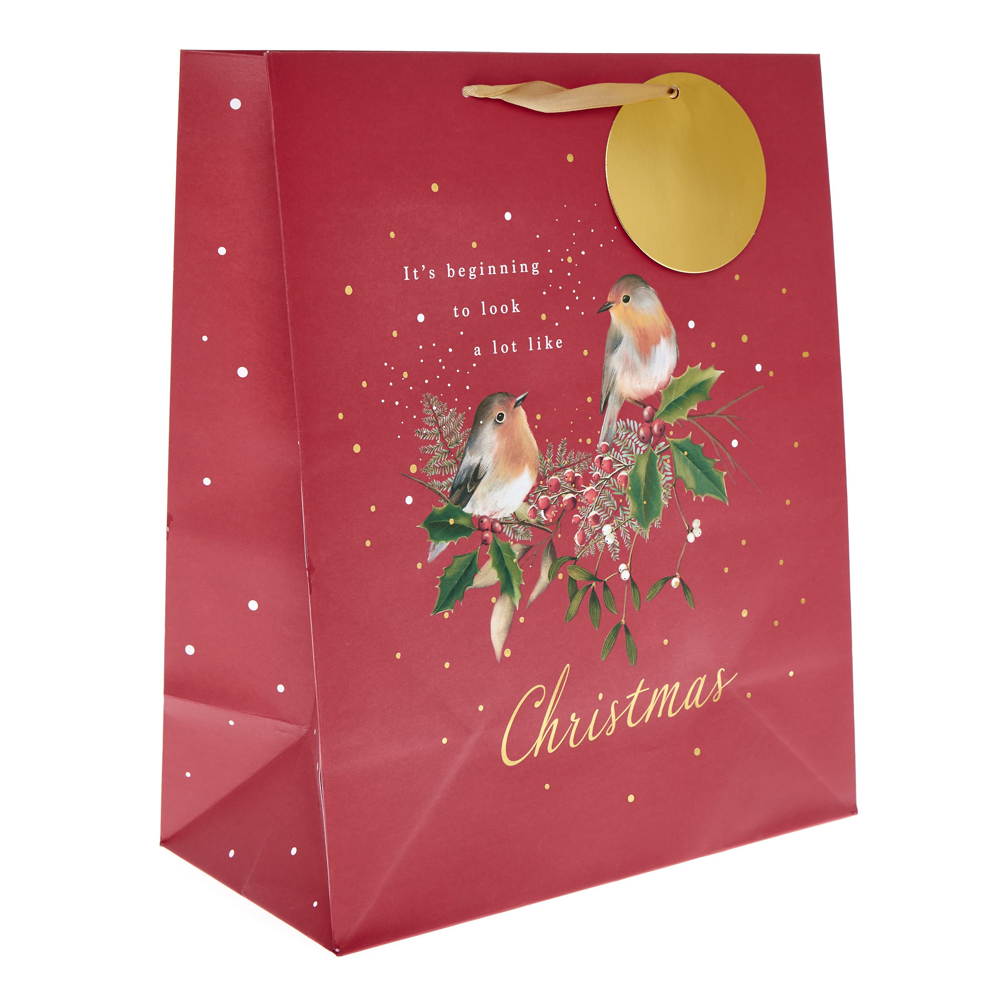 Large Portrait Christmas Robins Gift Bag