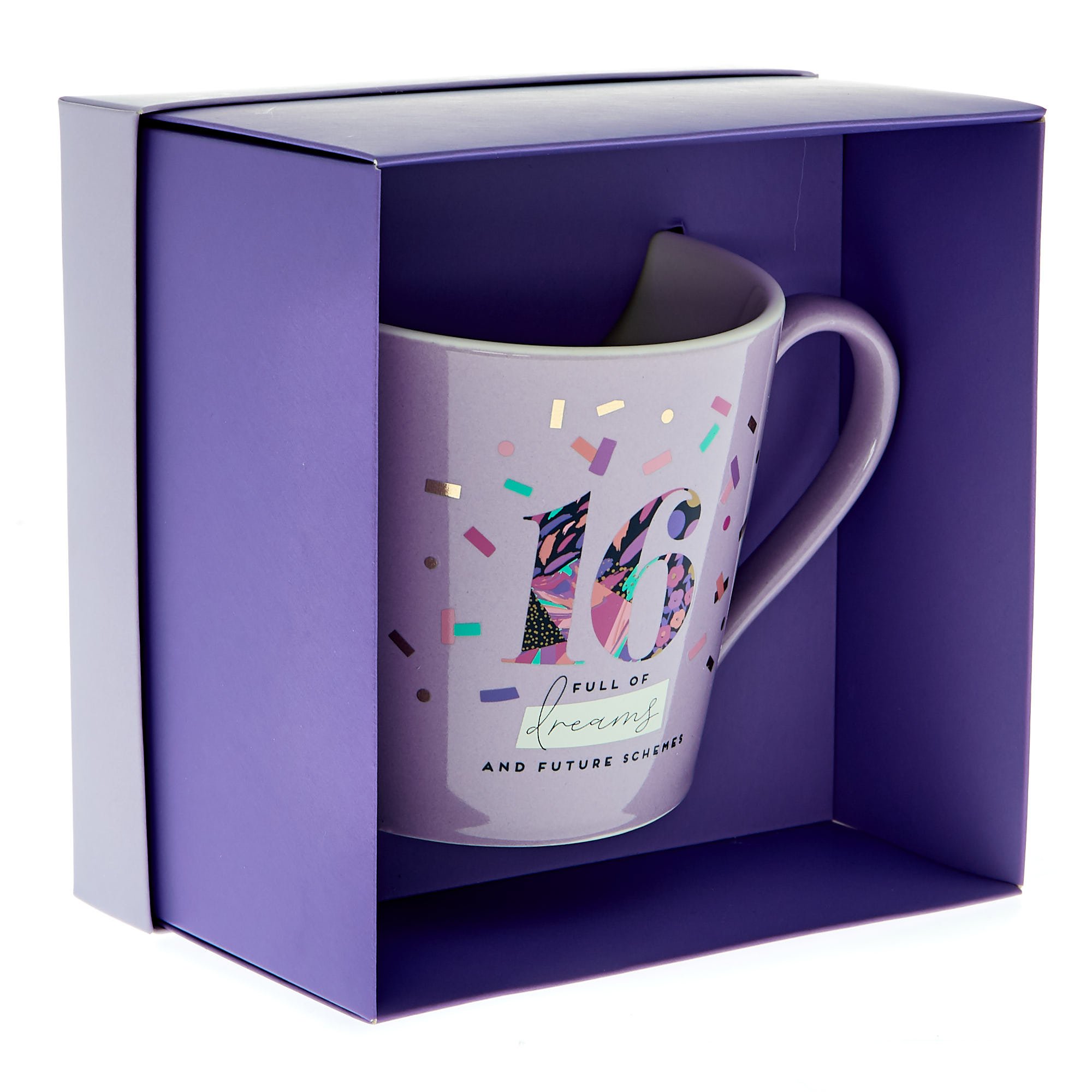 16 Full of Dreams & Future Schemes Mug