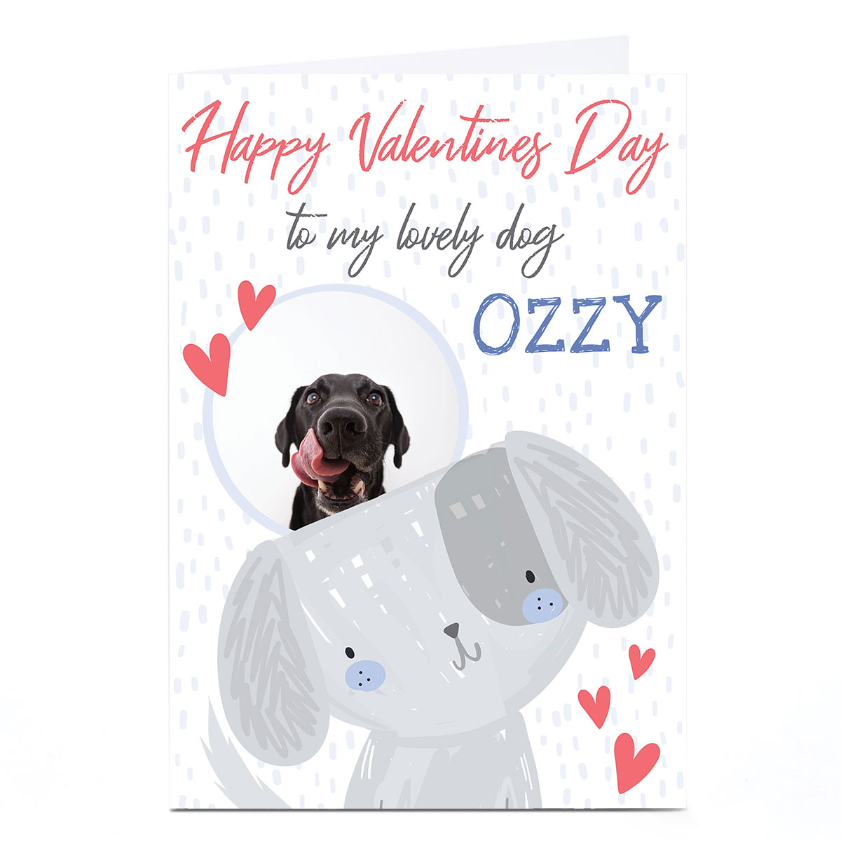 Photo Juniper & Rose Valentine's Day Card - To The Dog, Blue