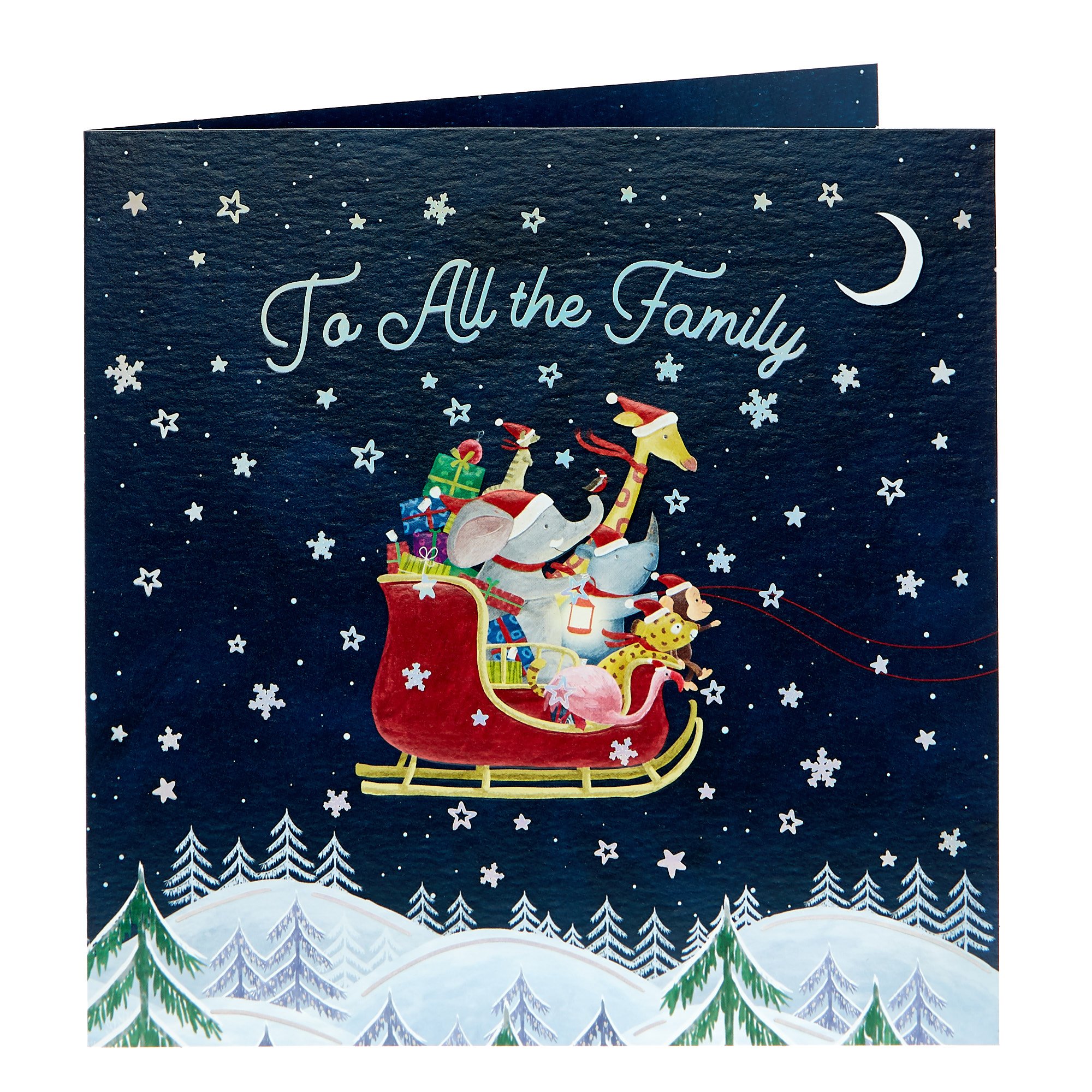 Platinum Collection Christmas Card - To All The Family Sleigh