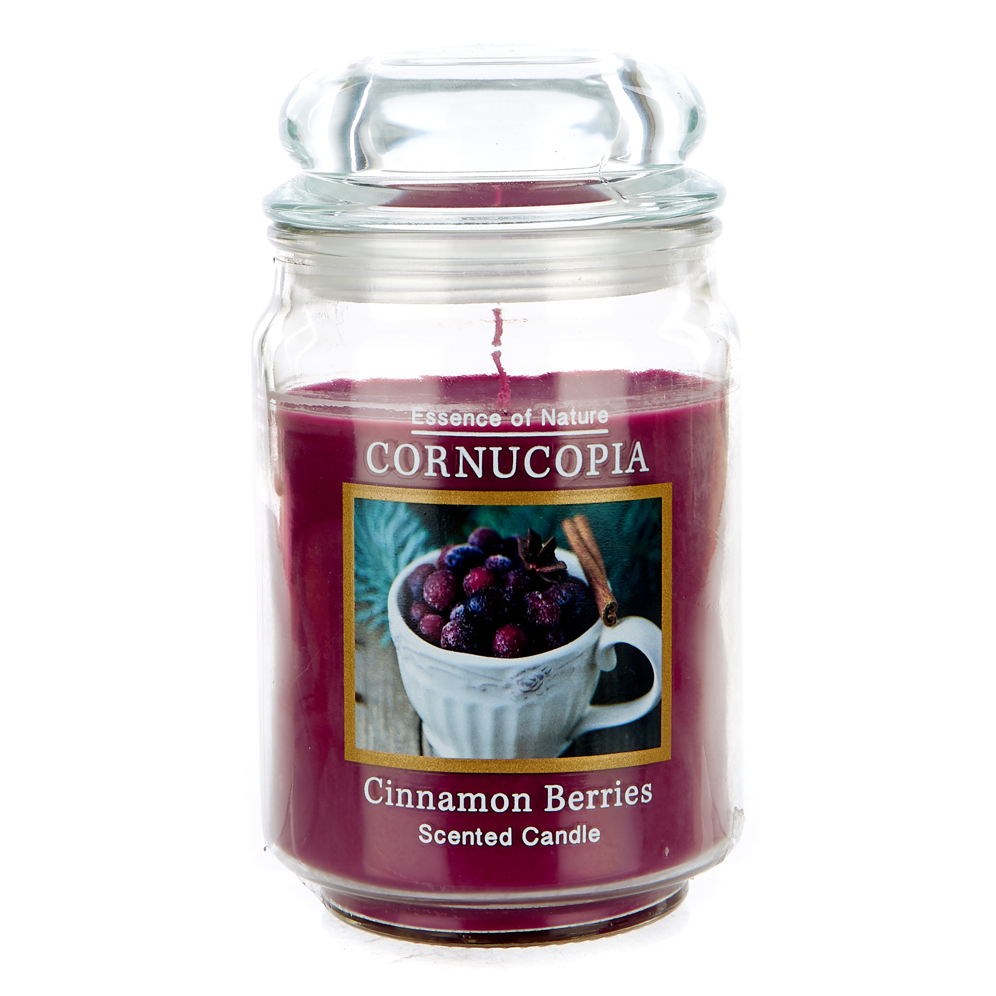 Cornucopia Cinnamon Berries Scented Candle