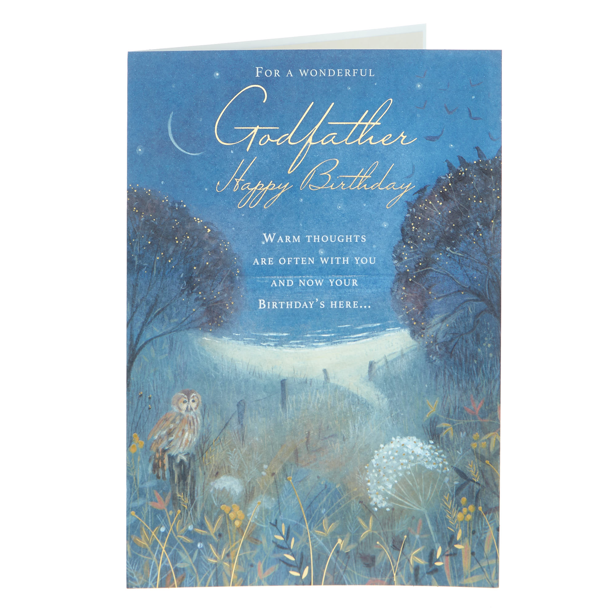 Godfather Warm Thoughts Nighttime Meadow Birthday Card