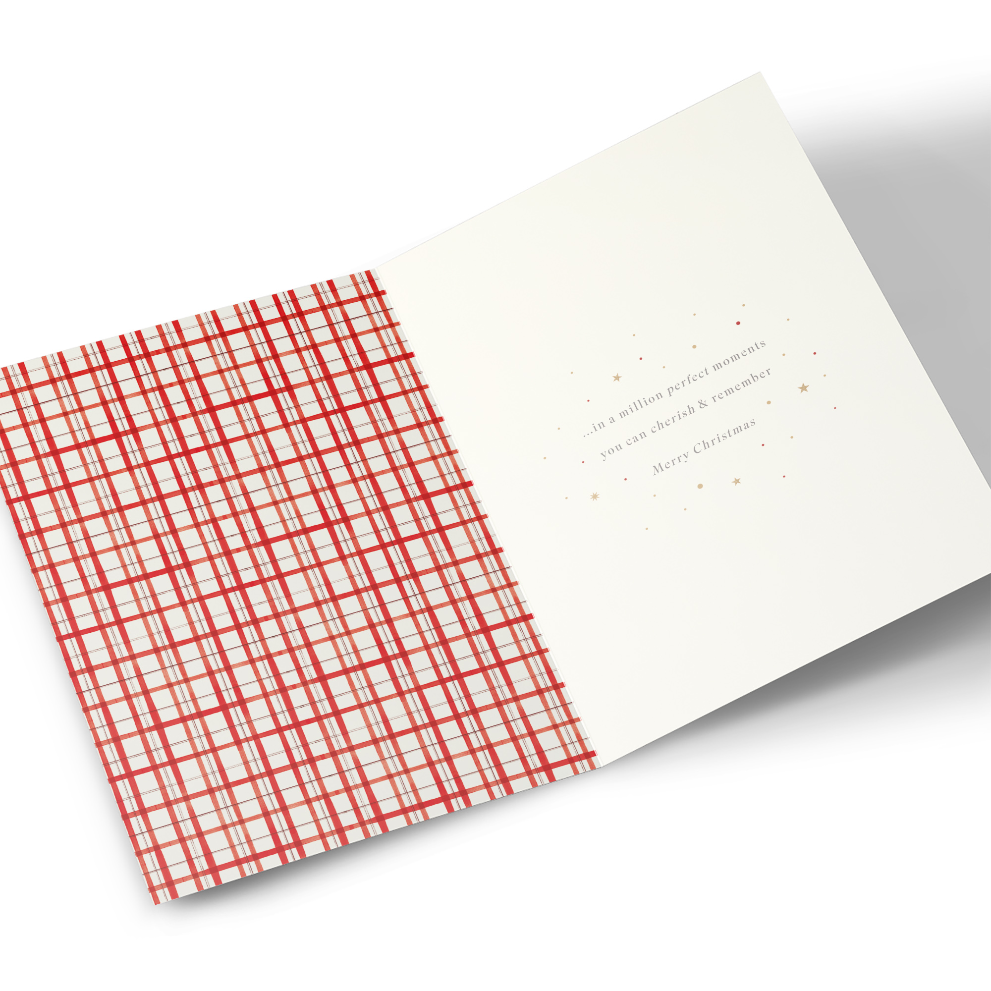 Christmas Card - Santa Checking List, Special Brother & Sister In Law