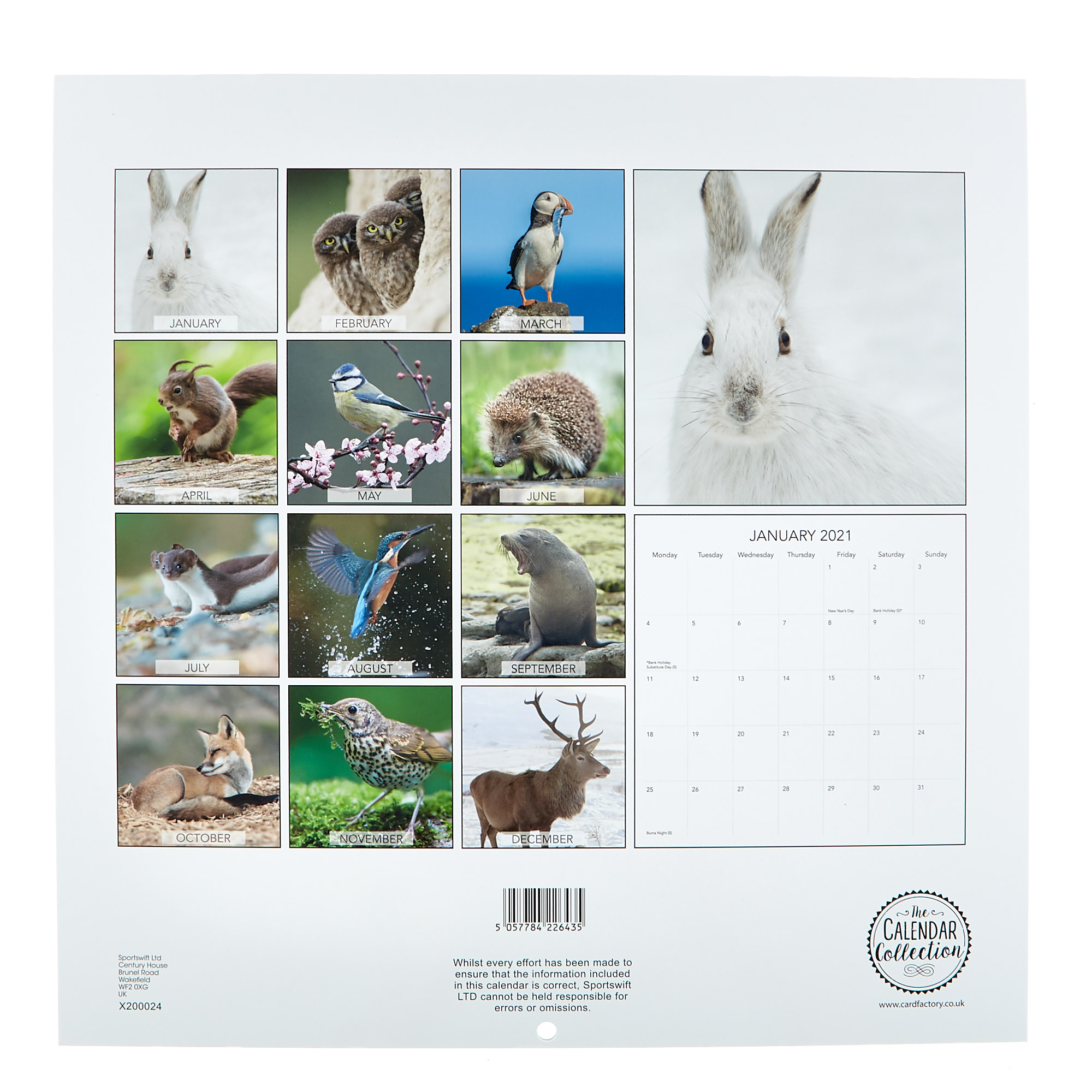 Wildlife 2021 Calendar 