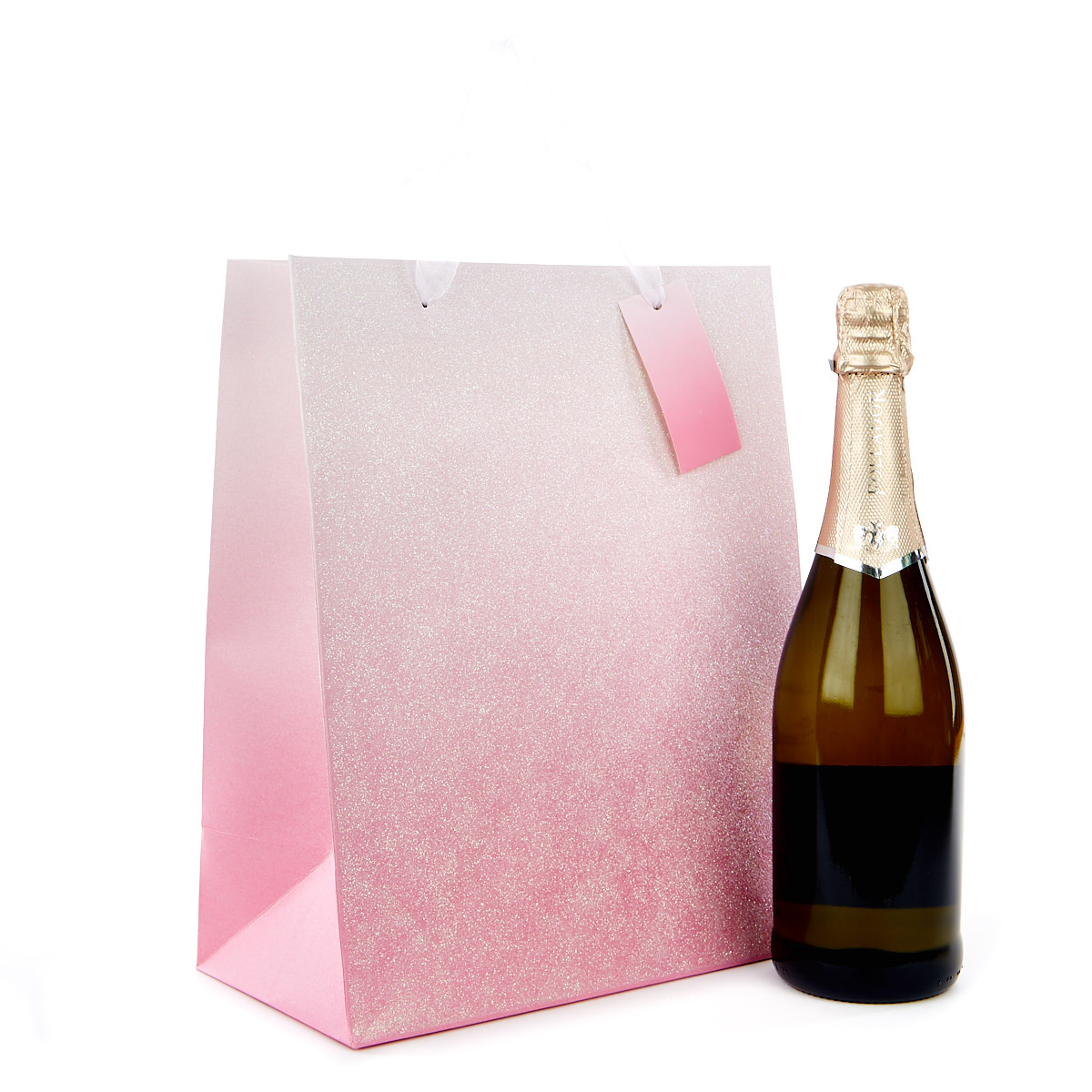 Large Portrait Gift Bag - Pink Ombre