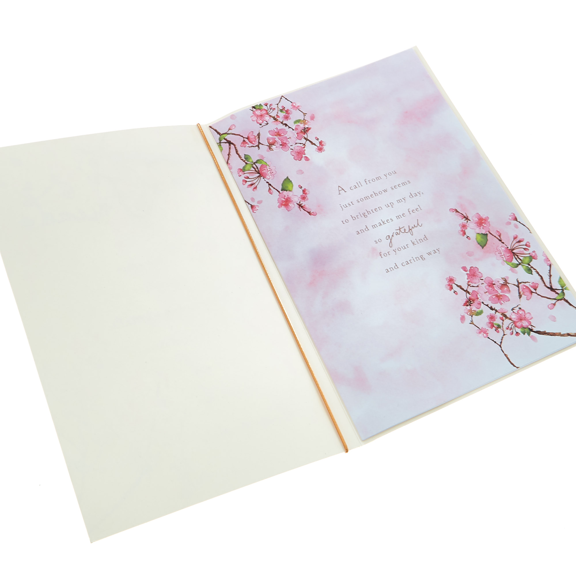 Birthday Card - Special Friend Cherry Blossom