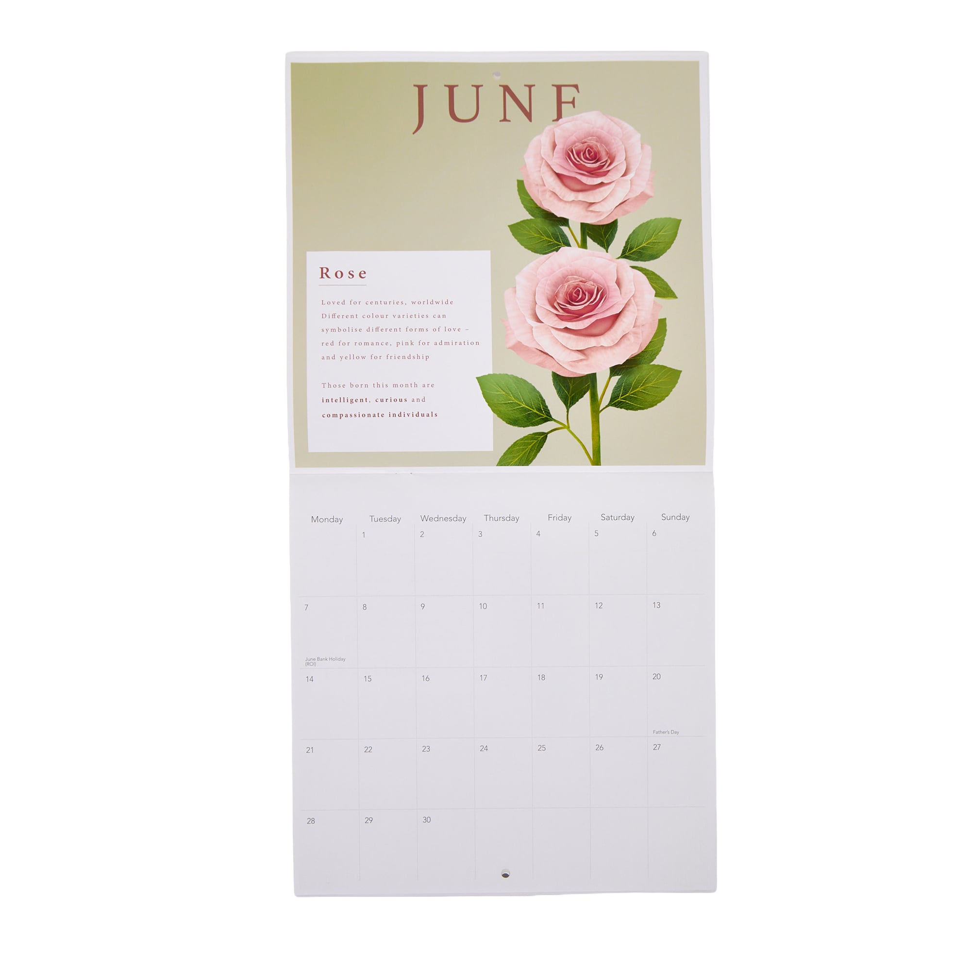 The Language Of Flowers 2027 Square Wall Calendar 