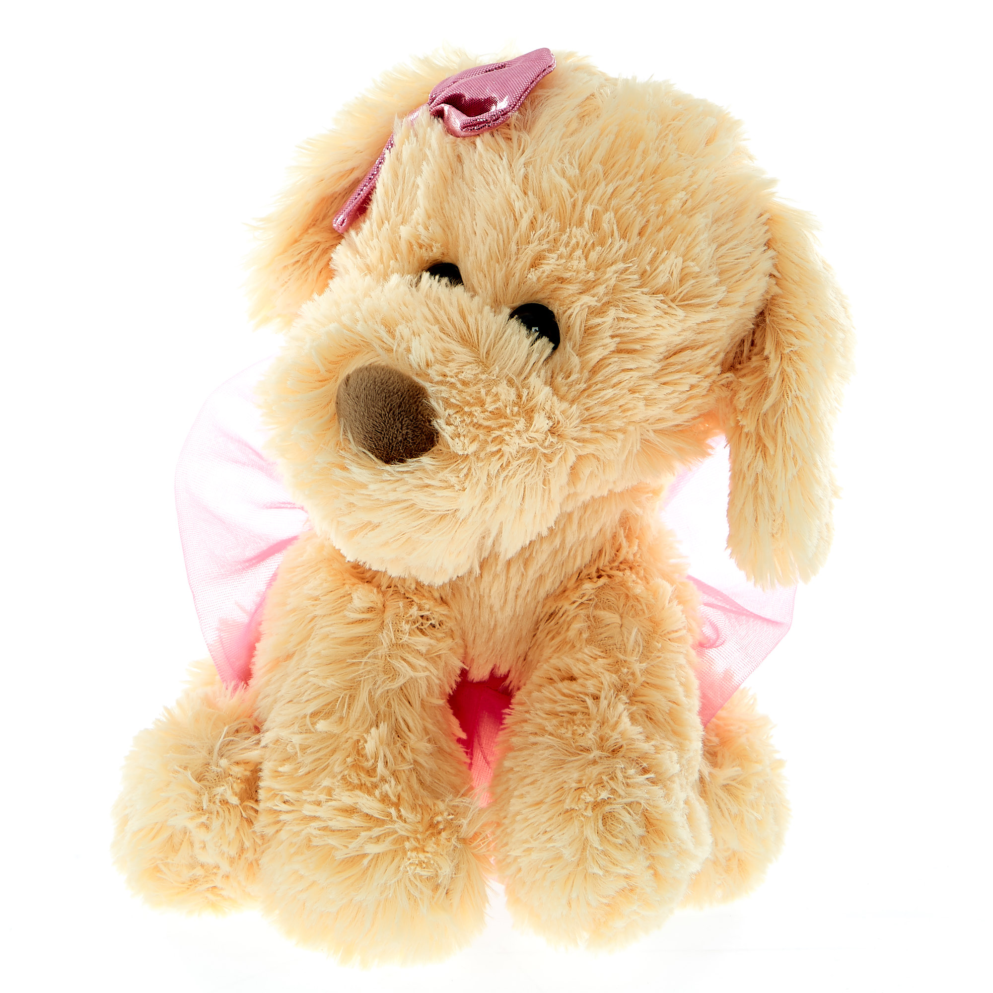 Dog In A Tutu Soft Toy