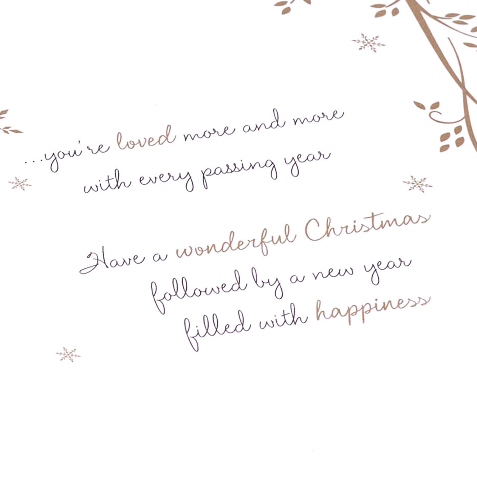 Christmas Card - Wonderful Daughter, Christmas Verse