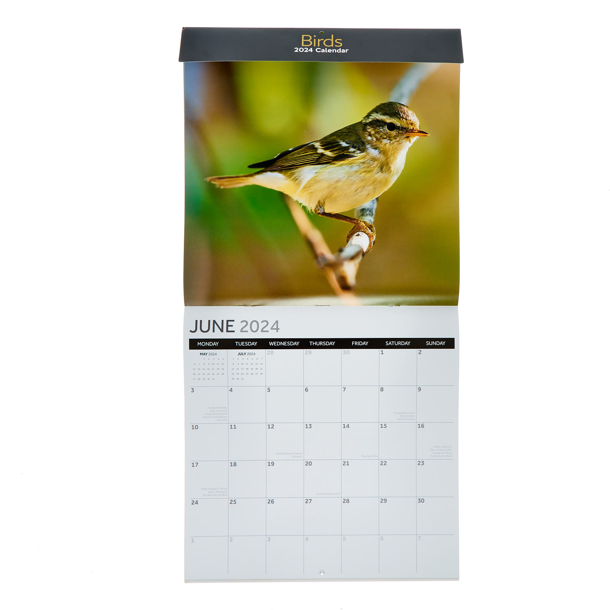2024 Garden Birds Square Calendar