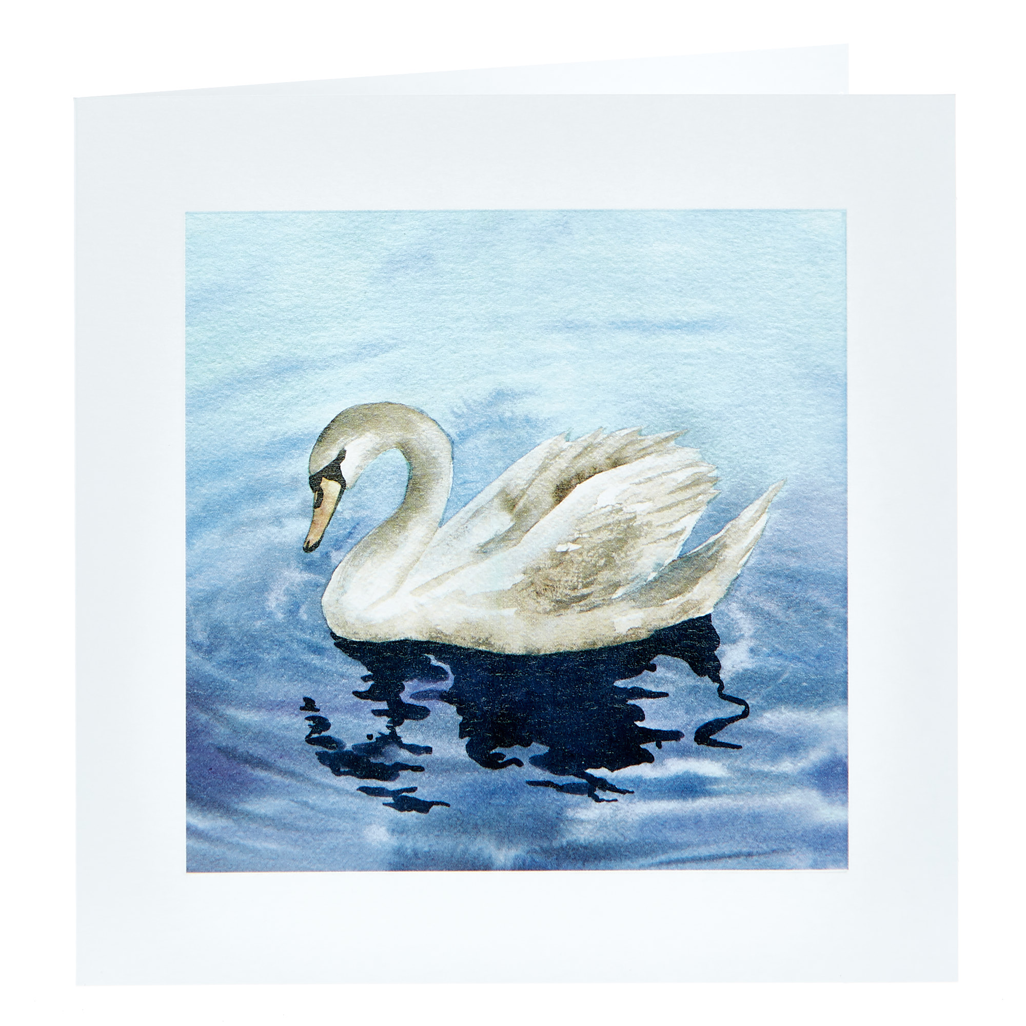 Any Occasion Card - Painted Swan