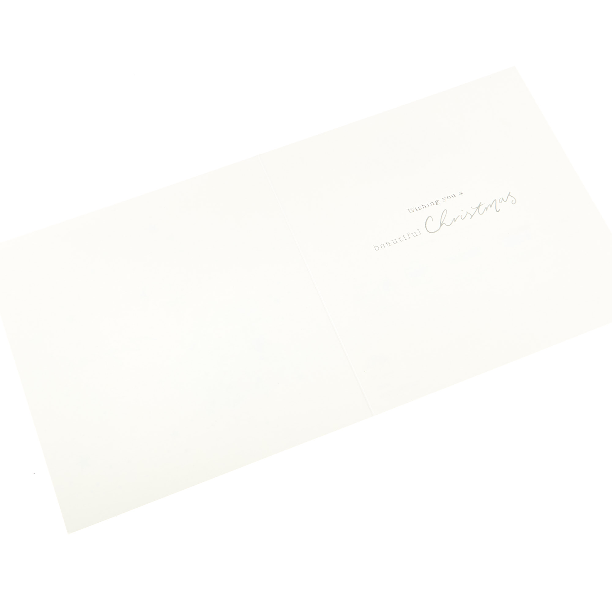 10 Deluxe Charity Boxed Christmas Cards - Swan & Deer (2 Designs)