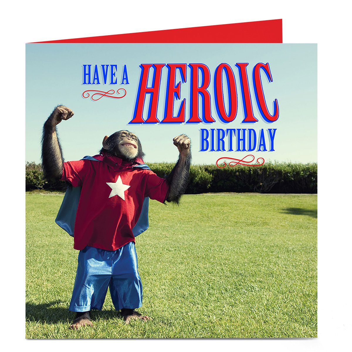 Personalised Birthday Card - Heroic Monkey