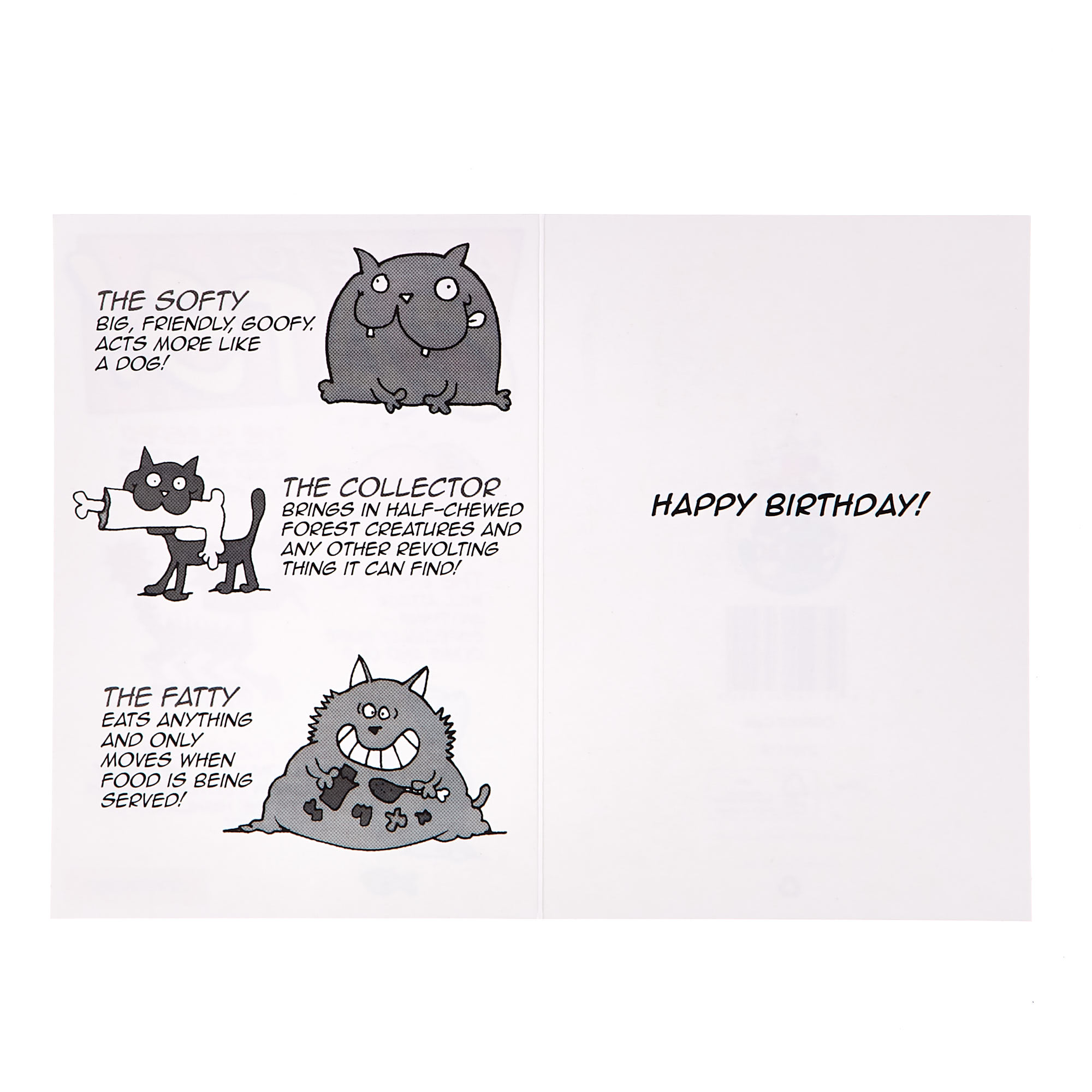 Birthday Card - A Guide To Cats