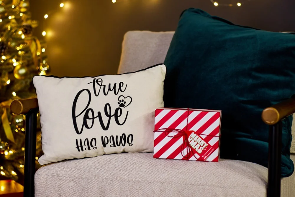 A cozy chair with a decorative pillow that reads “True love has paws” and a red-and-white striped gift box tied with a ribbon, placed near a Christmas tree with warm lights in the background. A cozy chair with a decorative pillow that reads “True love has paws” and a red-and-white striped gift box tied with a ribbon, placed near a Christmas tree with warm lights in the background.