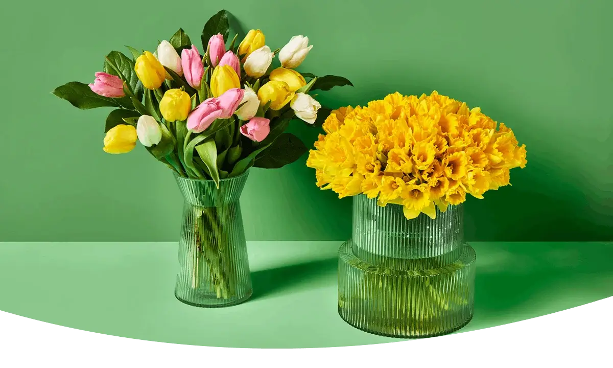 A bouquet of pink and yellow tulips in a tall ribbed vase next to a round vase filled with bright yellow daffodils, all set against a green background.