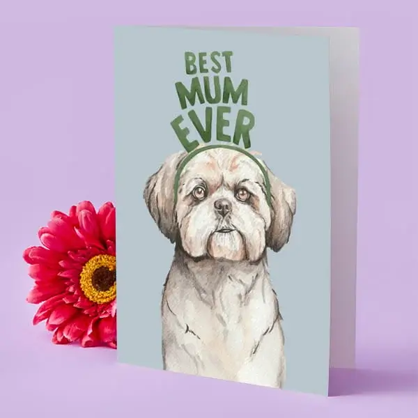 A light blue Mother’s Day card featuring a painted dog holding a photo area, with the words Best Mum Ever above, displayed upright beside a bright pink flower.