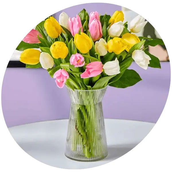 A clear ribbed glass vase filled with yellow, pink, and white tulips, arranged in a full bouquet on a white table against a soft purple background.