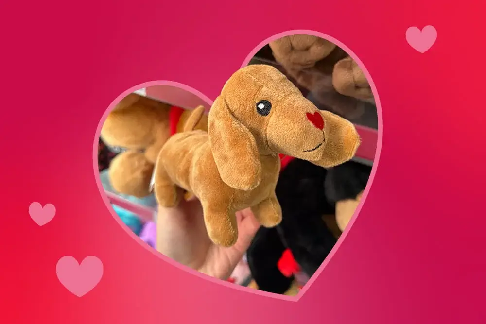 Light brown plush dachshund toy with a small red heart nose, held up in front of a shelf of stuffed animals.