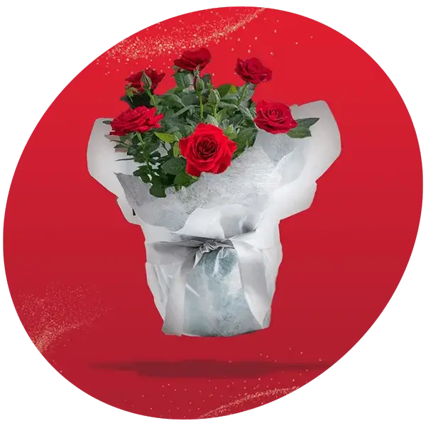 Bouquet with yellow roses, small white flowers, and green foliage arranged in a white pitcher.