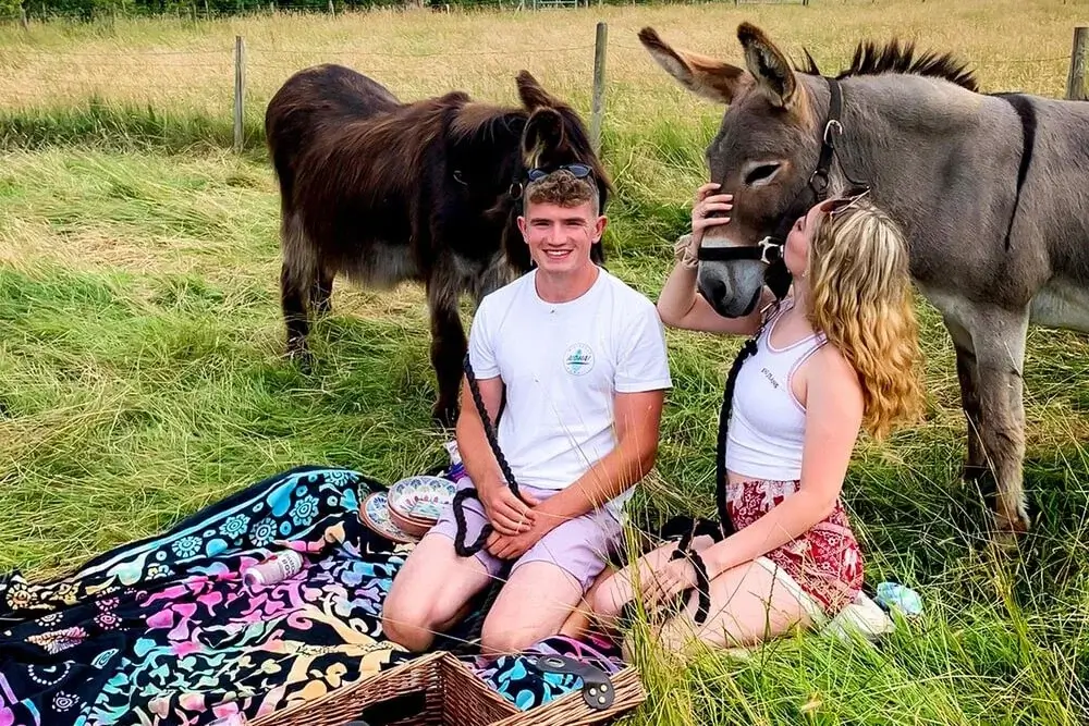 Two people sitting on a picnic blanket in a grassy field with a basket and food items, interacting with two donkeys standing nearby. One person is gently touching a donkey’s face while the other sits beside them. A wooden fence runs along the background. Two people sitting on a picnic blanket in a grassy field with a basket and food items, interacting with two donkeys standing nearby. One person is gently touching a donkey’s face while the other sits beside them. A wooden fence runs along the background.