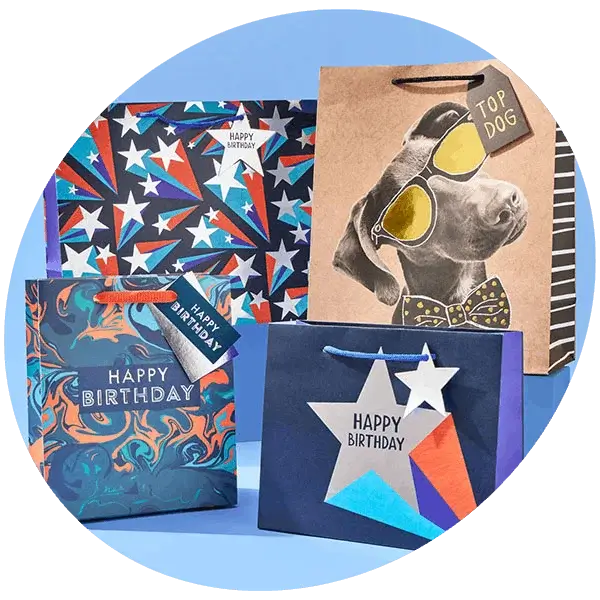 A selection of colourful birthday gift bags featuring star patterns, bold designs, and a dog wearing sunglasses on a kraft-style bag.